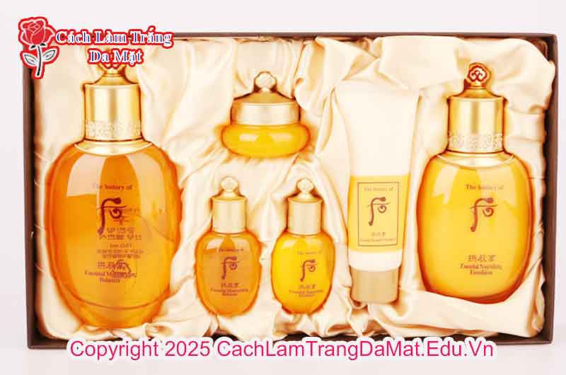 Hướng Dẫn Cách Sử Dụng Bộ Mỹ Phẩm The History Of 6 Món Hiệu Quả Tối Ưu